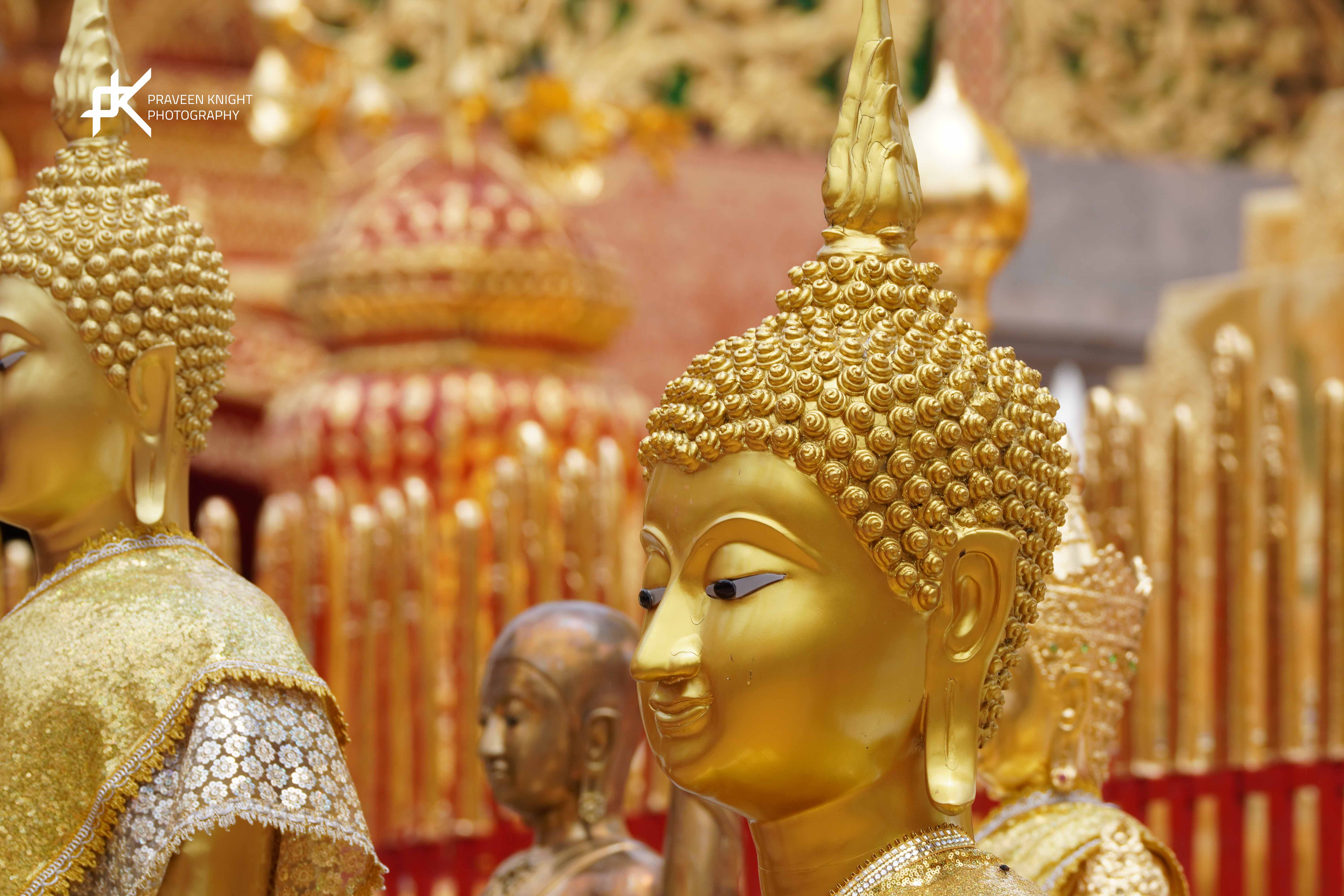A Glimpse of Sacred Splendor